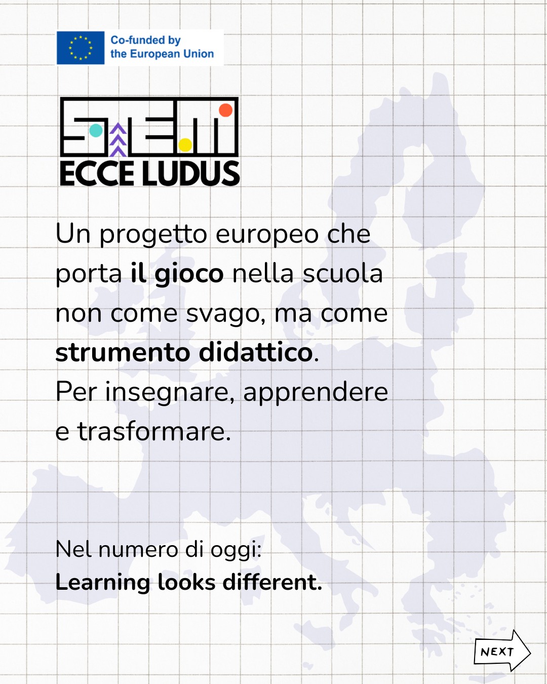 Ecce Ludus, copertina