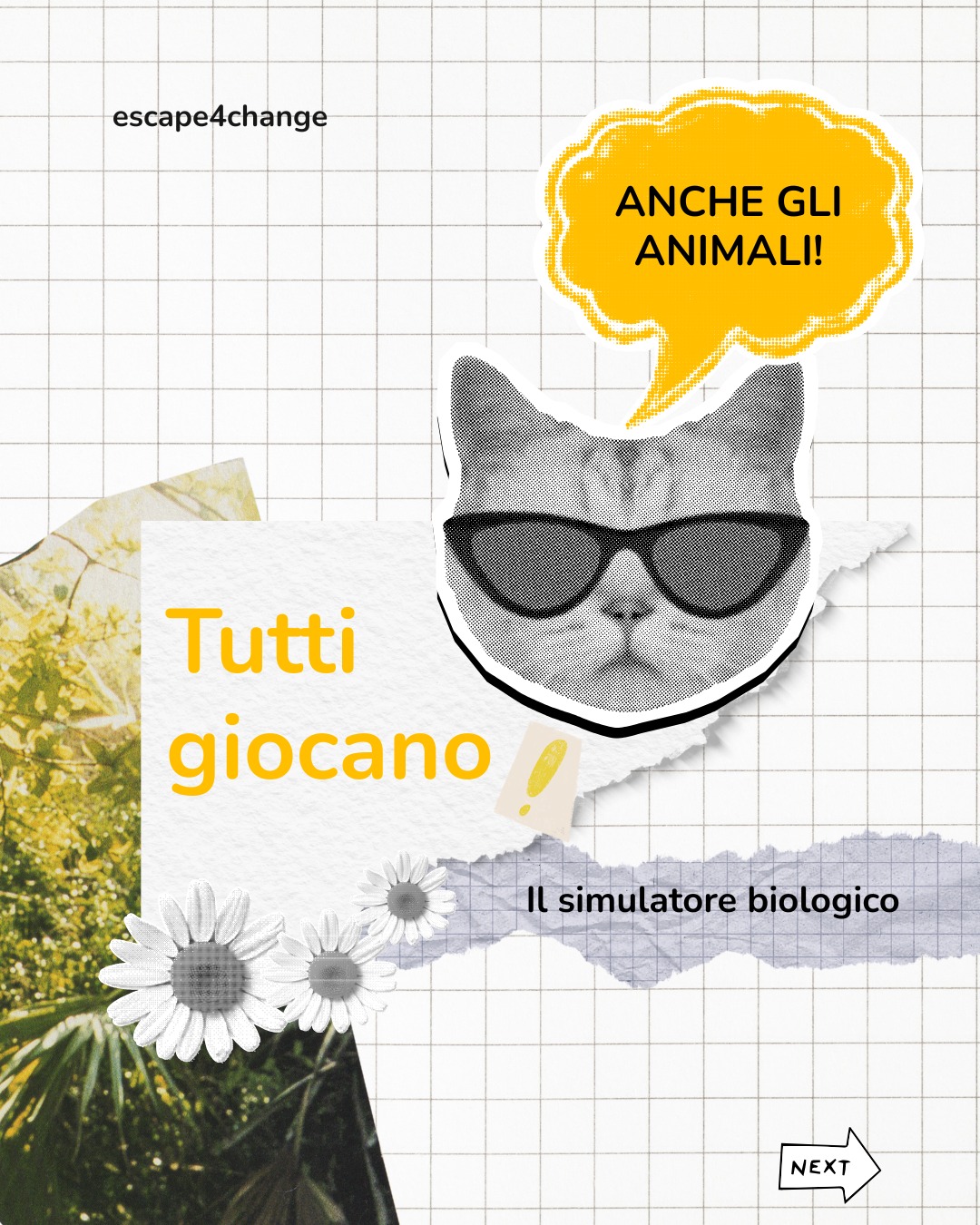 Tutti giocano, copertina