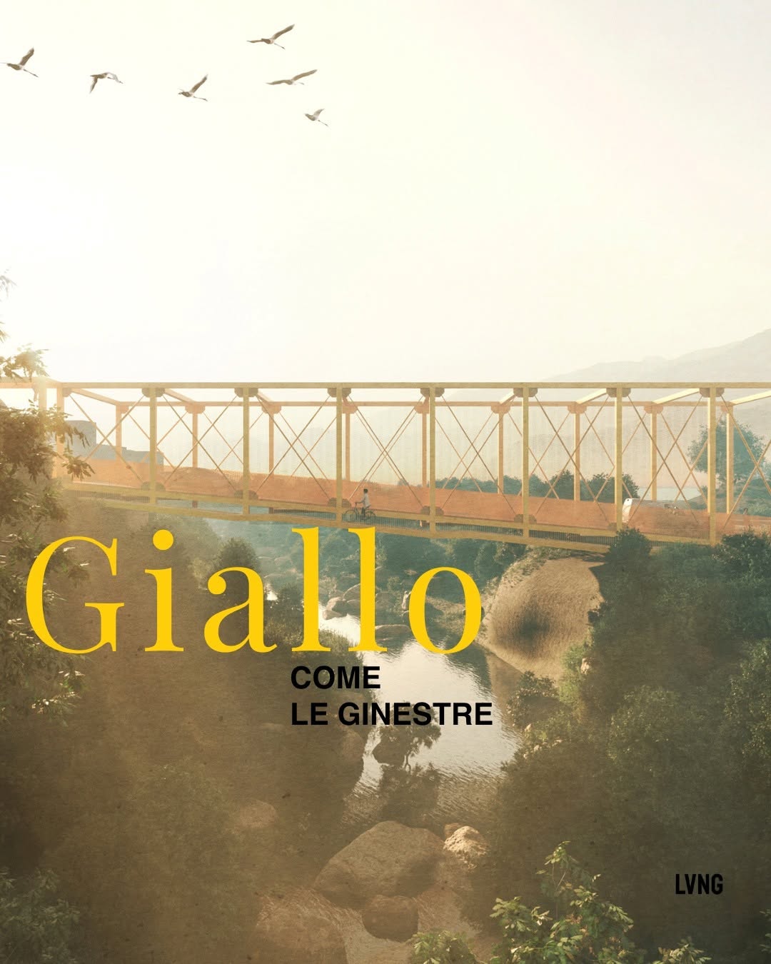 Giallo come le ginestre