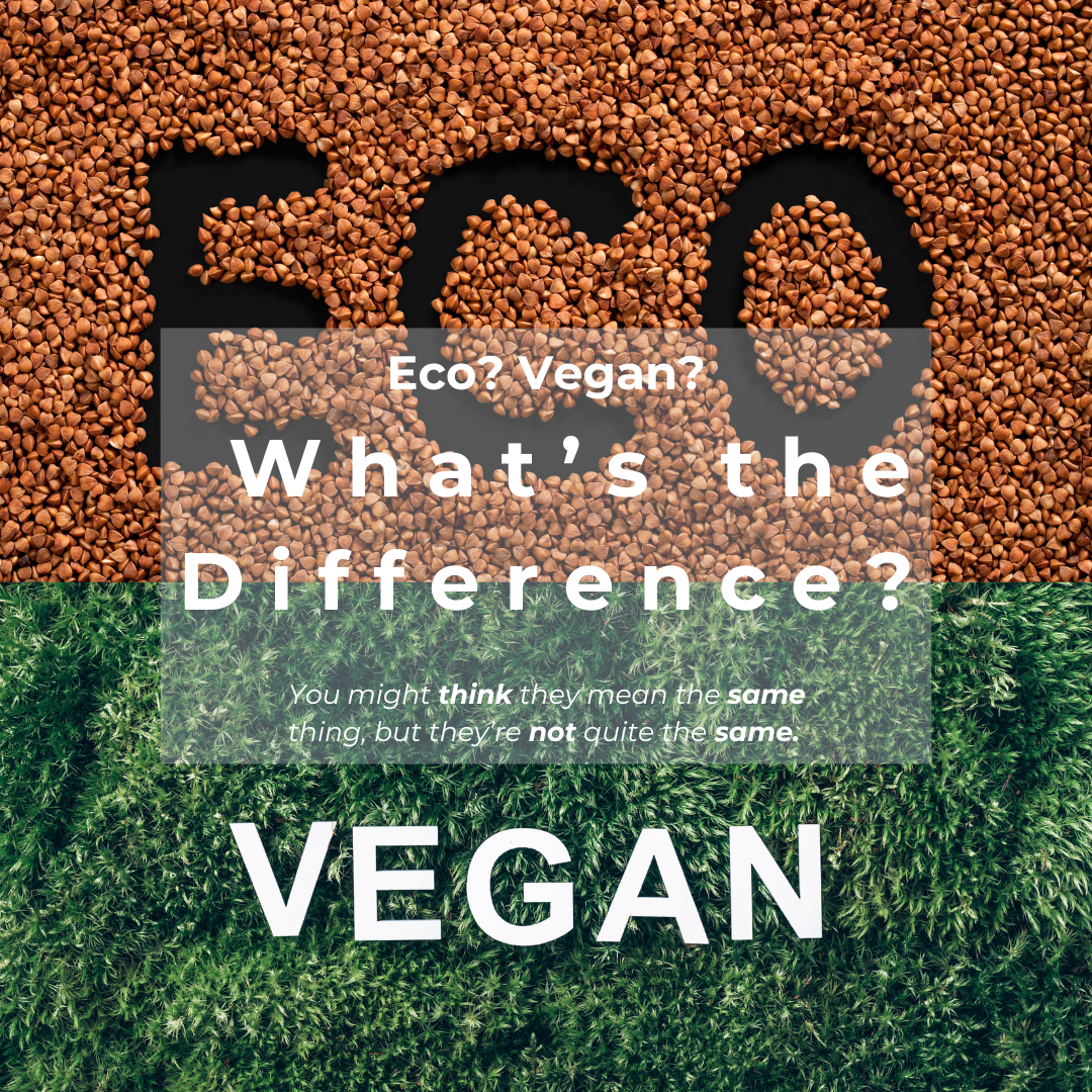 Vegan ed eco-friendly, contenuto 1