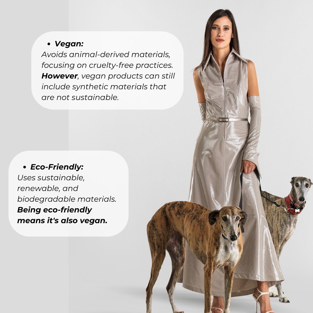 Vegan ed eco-friendly, contenuto 2